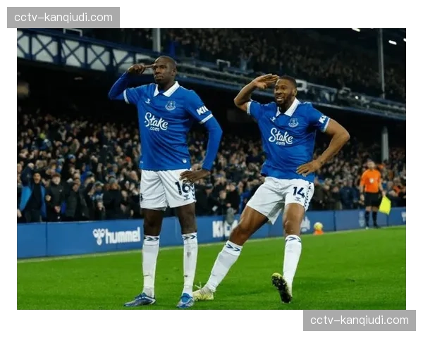 结果速报：英超保级关键战，埃弗顿1-0小胜布伦特福德逃离降级区