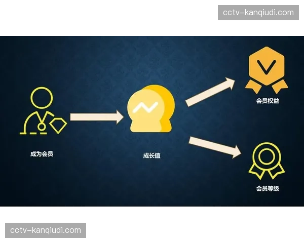 体育NFT市场崩盘后，俱乐部数字会员体系成为新的营收增长点